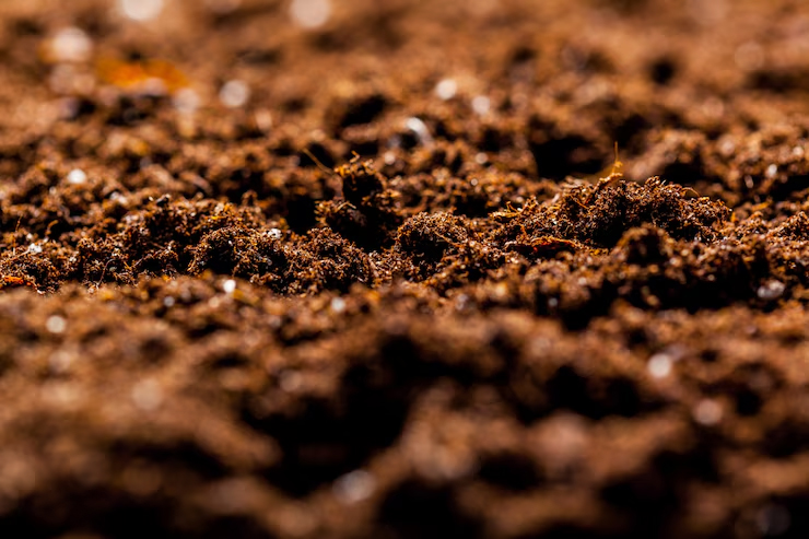 Cow Dung (Gobar) Manure