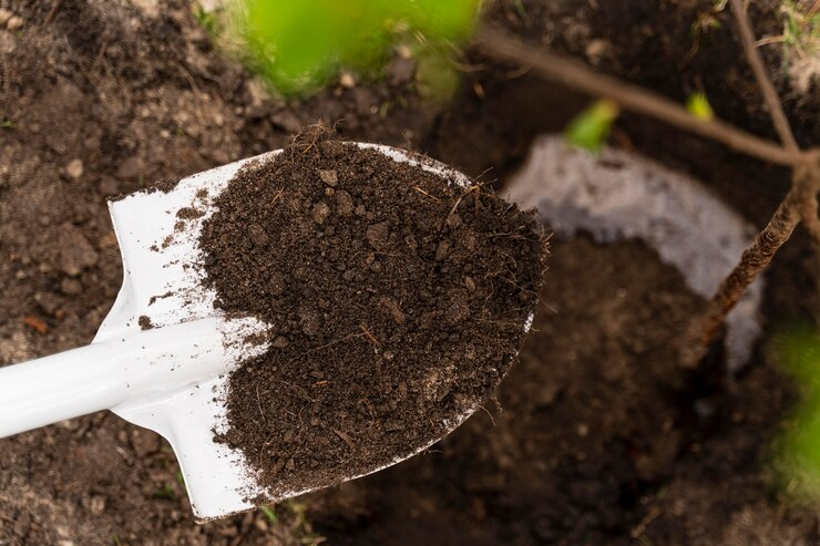 Composted Farmyard Manure